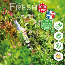 stop odeur chaussons escalade